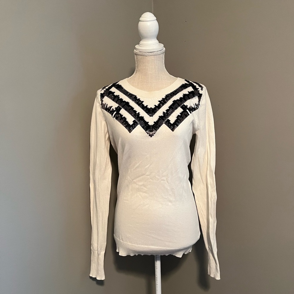 Express Embellished Sweater